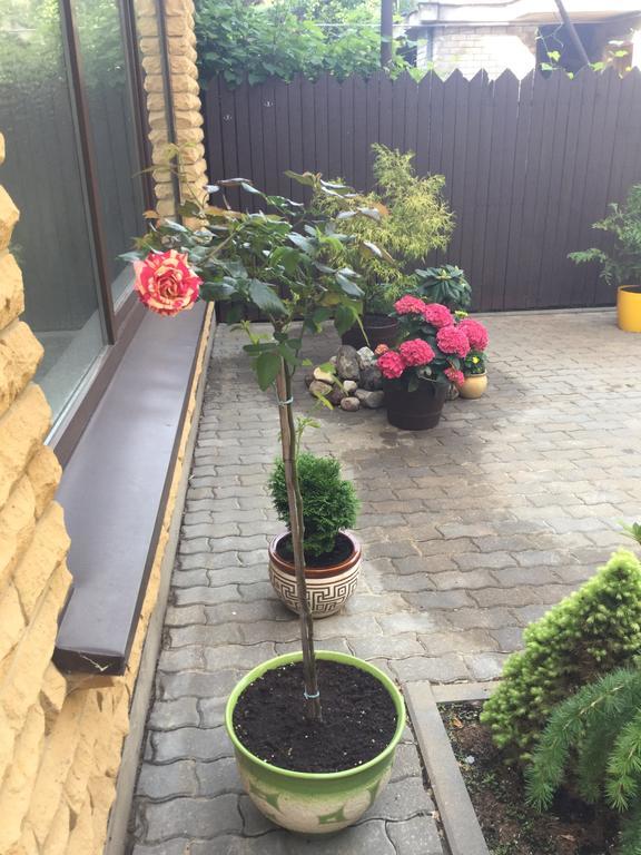 Apartamentai Fortuna Kaunas Luaran gambar